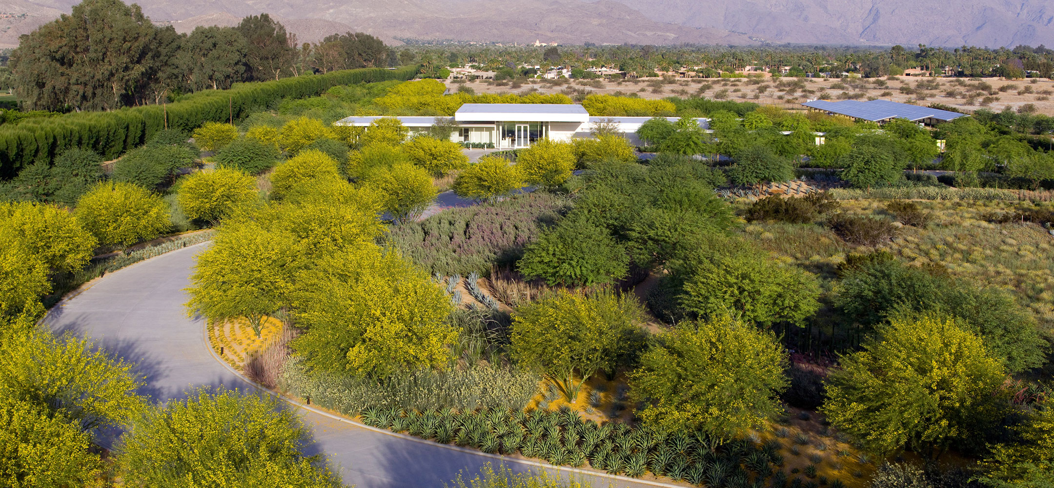 Sunnylands Takes Major New Steps to Reduce Water Consumption