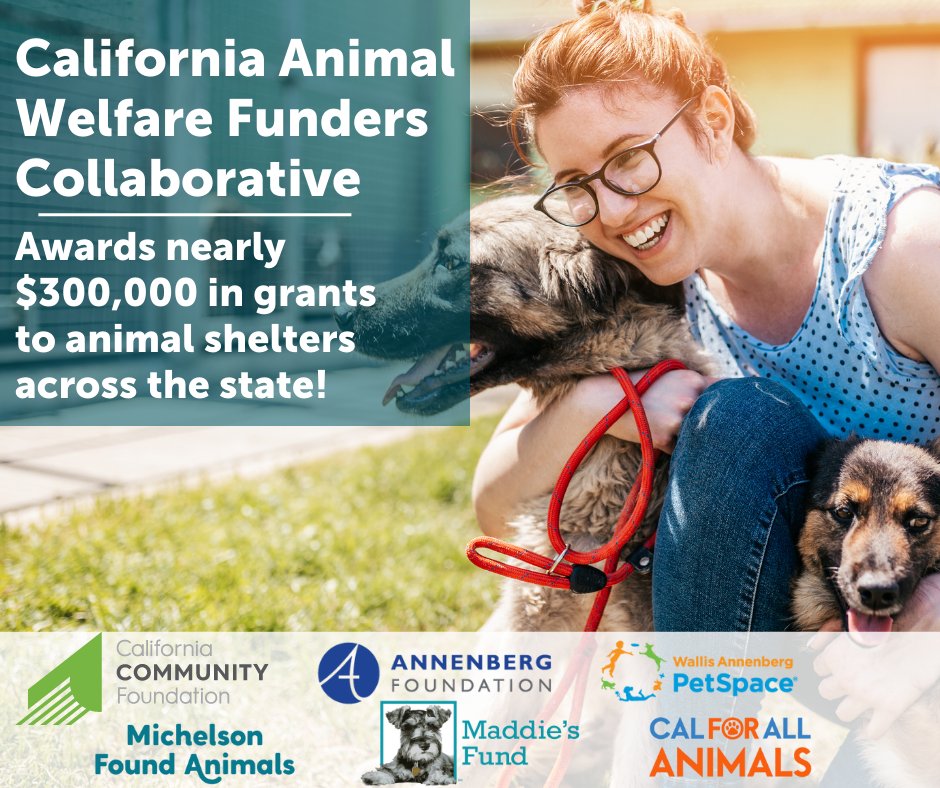 California Animal Welfare Funders Collaborative Supports 19 Organizations –  Annenberg Foundation