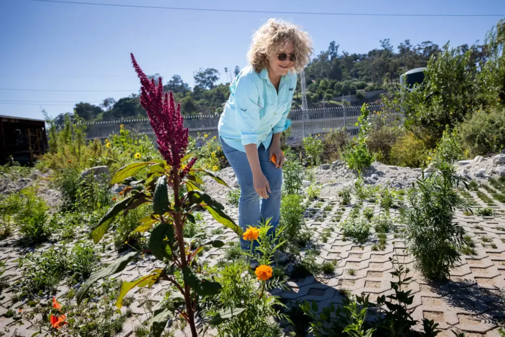 Lauren Bon amid the sprouting blooms at “Undevelopment One.” (Jay L. Clendenin / Los Angeles Times)