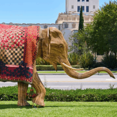 elephant_sq