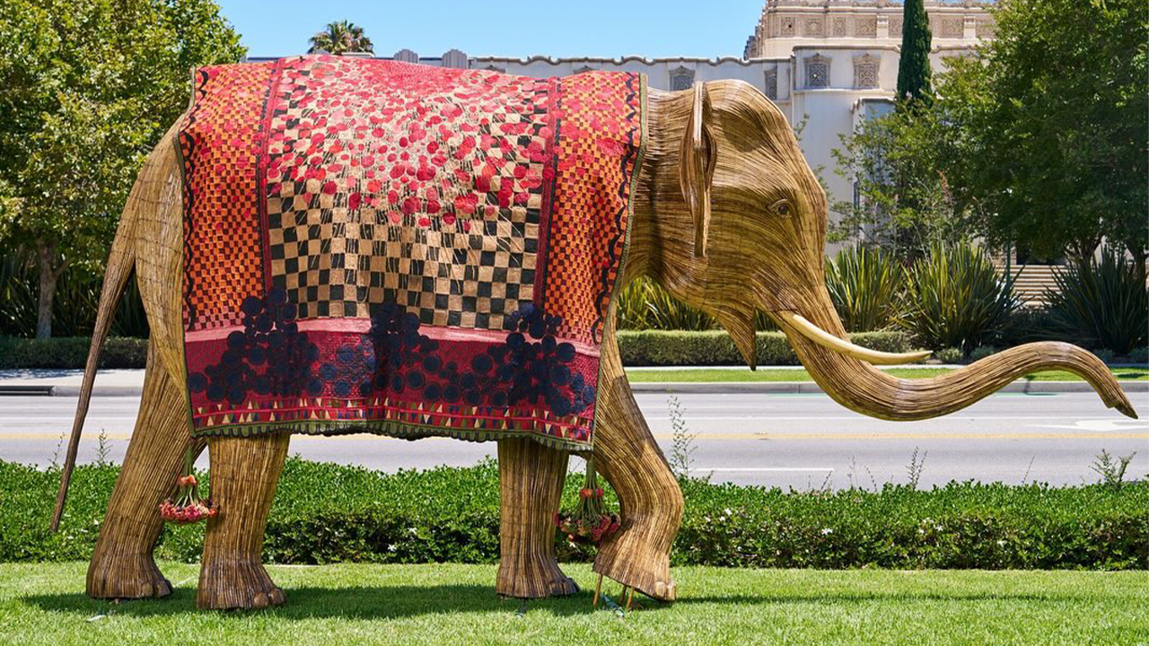 Celebrating the Great Elephant Migration Finish Line at the